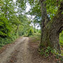 Strada per Capraia