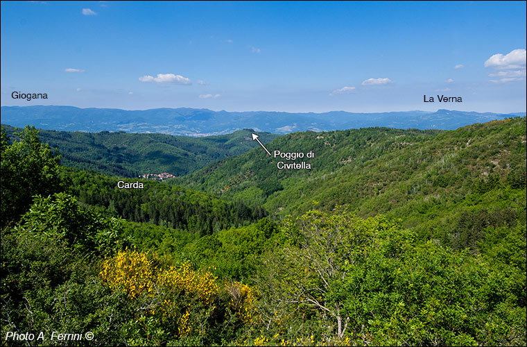 Panorama da Passo alla Forca