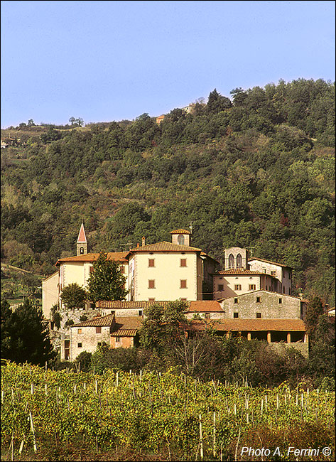 Castel Focognano