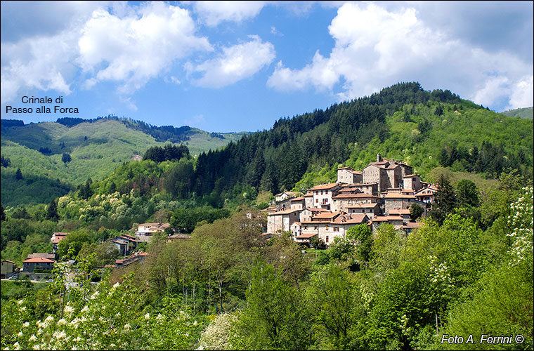 Carda, panorama