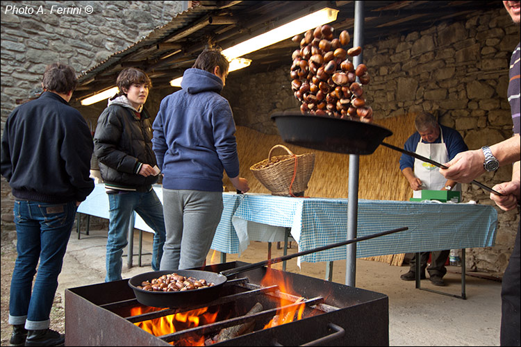 Carda, festa della castagna