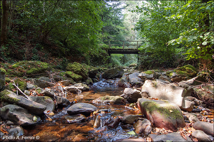 Il torrente di Carda