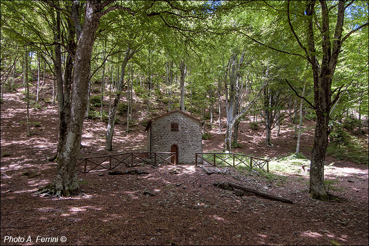 Casetta del Teoni, Pratomagno