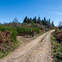 Crinale del Pratomagno in primavera