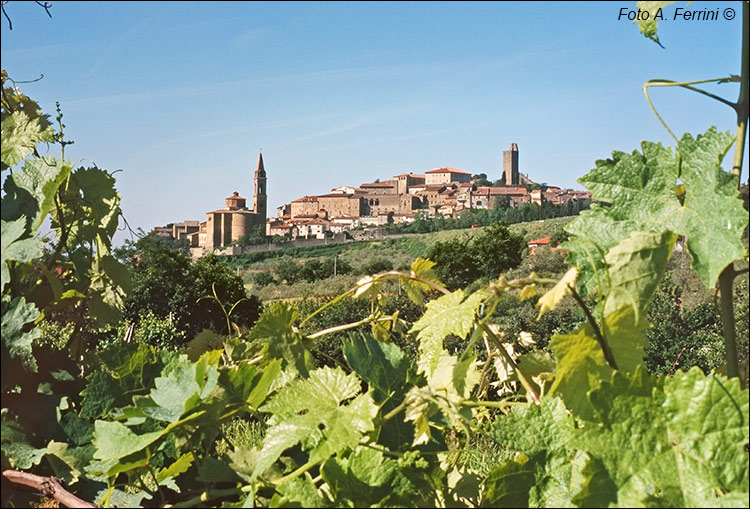 Panorama di Castiglion Fiorentino