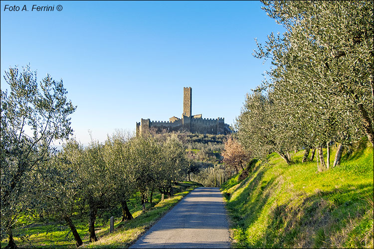 Castello di Montecchio