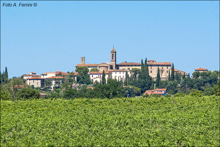 Panorama di Castiglion Fibocchi