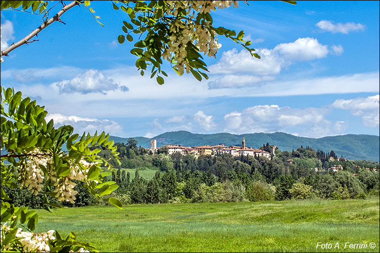 Panorama di Laterina