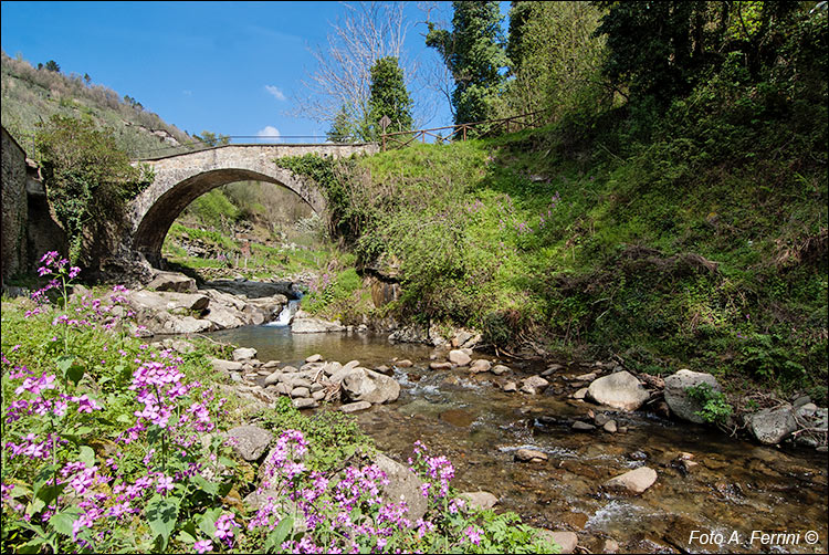 Ponte a Enna presso Reggello