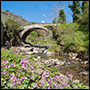 Ponte a Enna presso Reggello