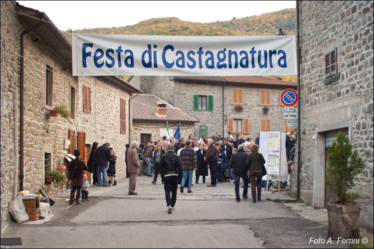 Castagnatura Raggiolo