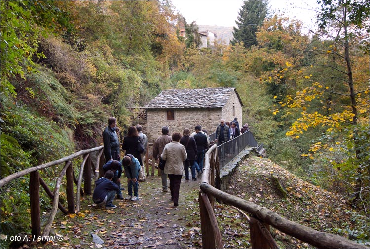 Ecomuseo castagna