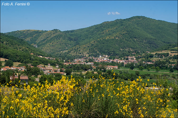 Rassina, panorama