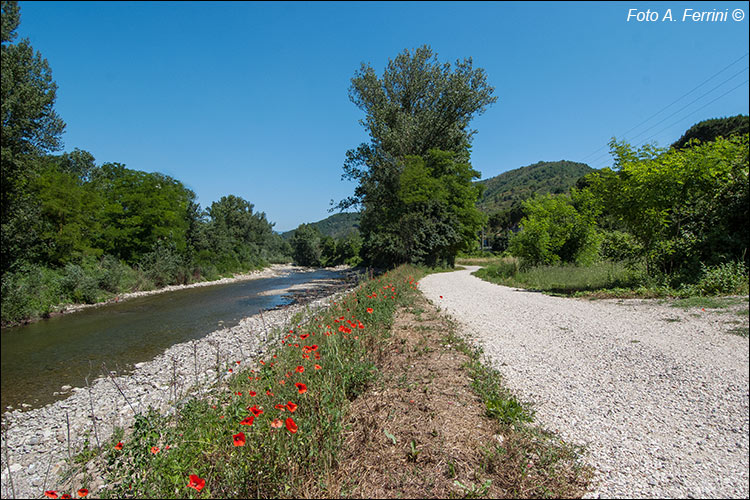 Ciclopista dell'Arno