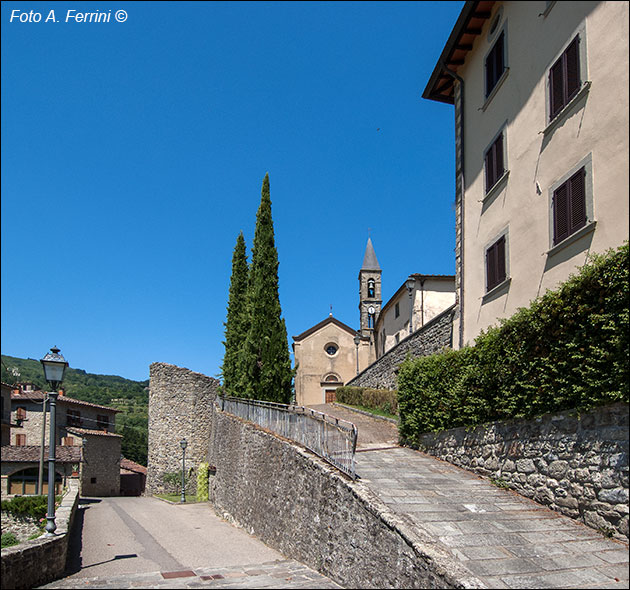 Castel Focognano, scorcio