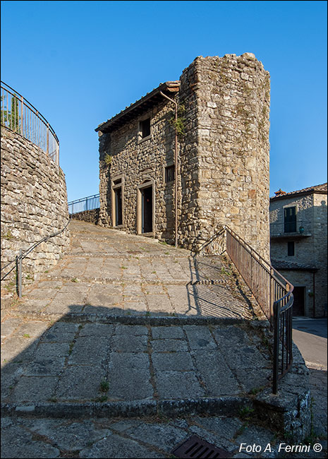 Castel Focognano, cantina