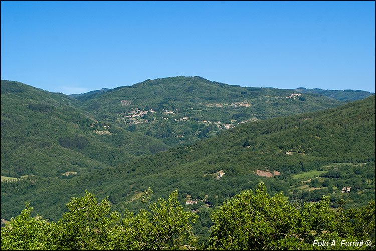 La montagna di Castel Focognano