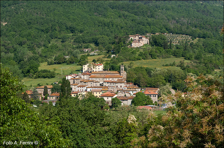 Salutio, panorama