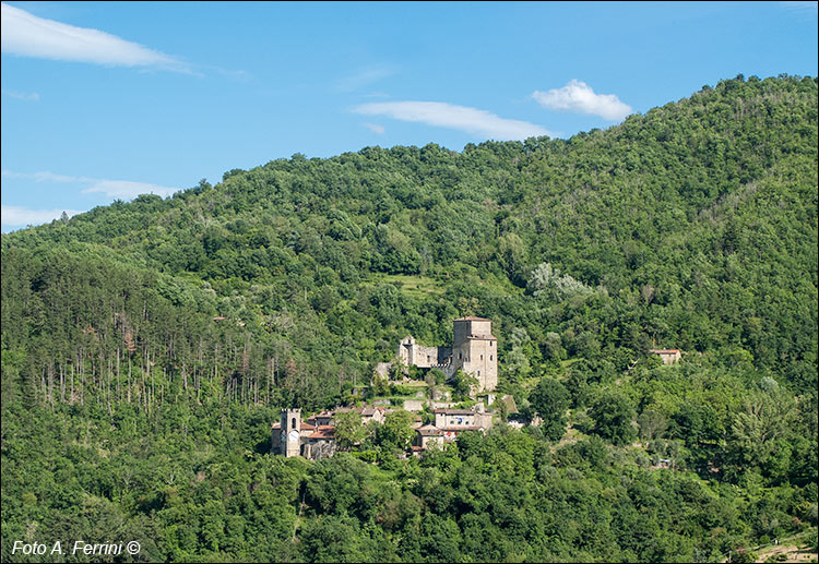 Castel San Niccolò