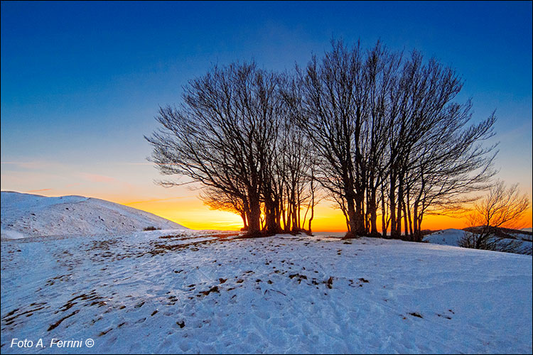 Pratomagno, tramonto dietro ai faggi
