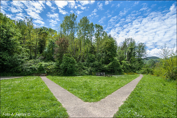 Parco della Fontanelle, Strada in Casentino