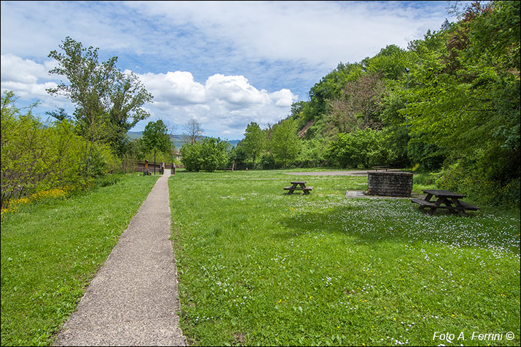 Parco della Fontanelle, Strada in Casentino