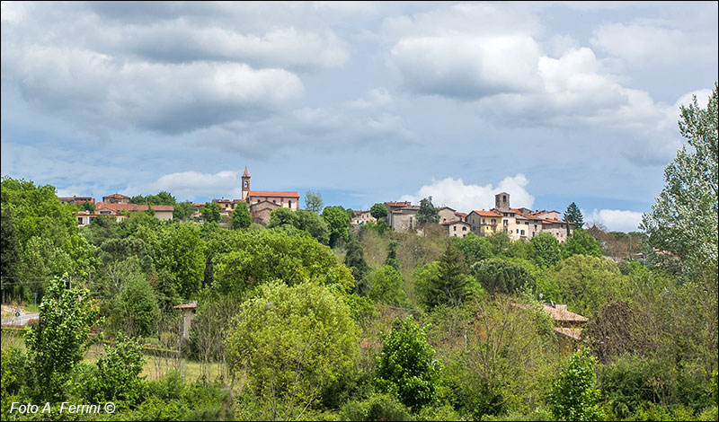 Borgo alla Collina