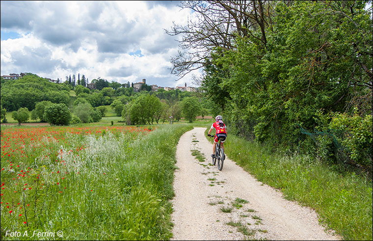 Ciclopista dell’Arno