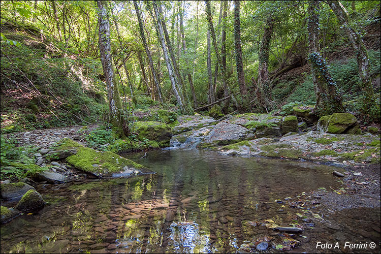 Garliano, il torrente