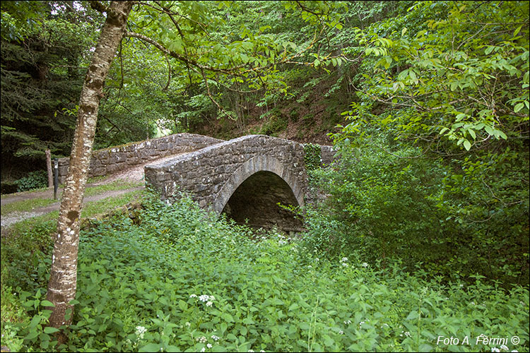 Massigrossi, l’antico ponte