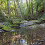 Garliano, il torrente