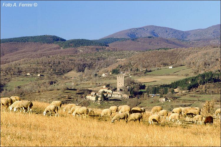 Paesaggio casentinese