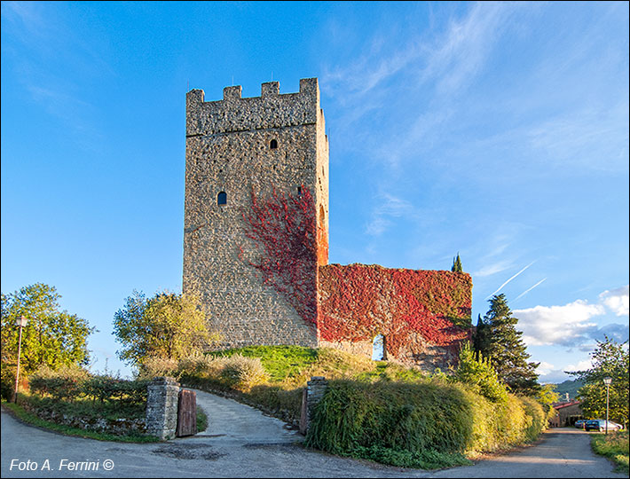 Castello di Porciano da nord