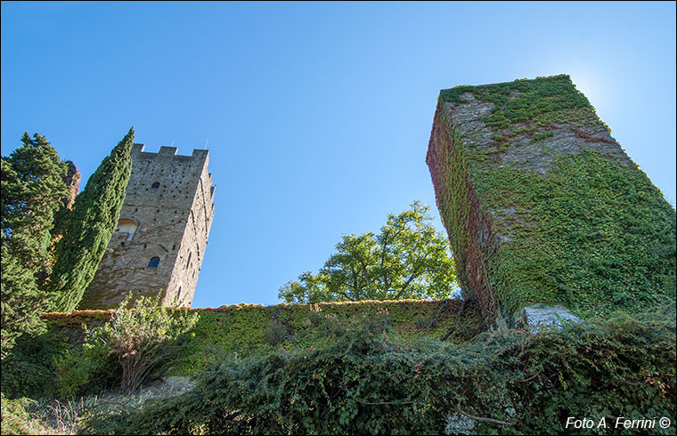 Castello di Porciano, le torri