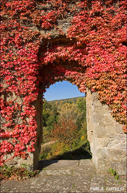 Castello di Porciano, porta originale