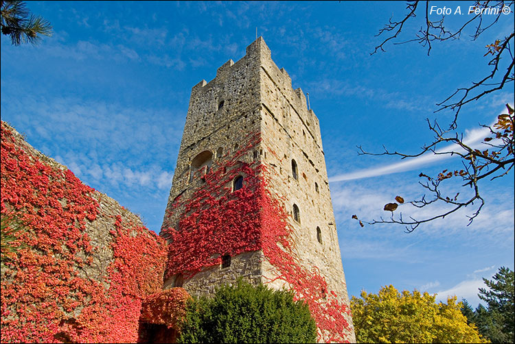 Castello di Porciano, la torre