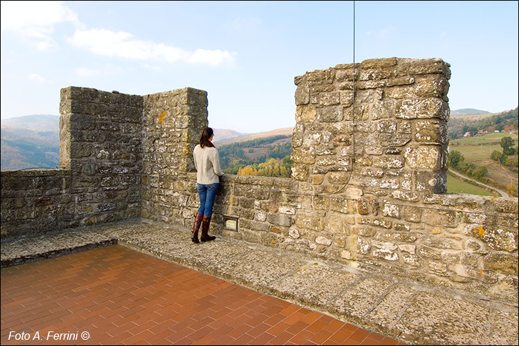 Castello di Porciano, il terrazzo