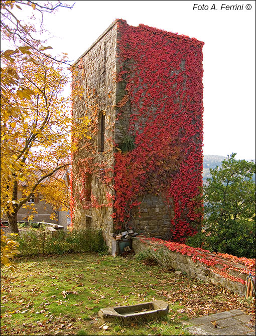 Porciano: una torre di guardia