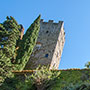 Castello di Porciano, le torri