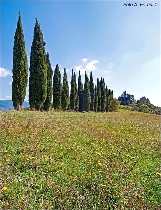 Castello di Romena, il viale