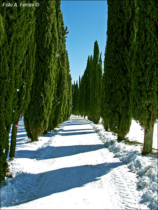 Inverno al Castello di Romena