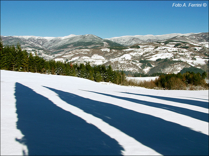 Monte Falterona, vista invernale