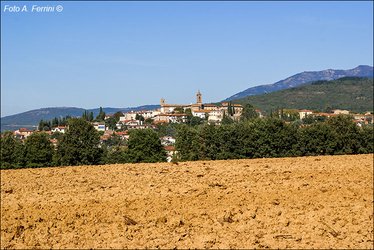 Castiglion Fibocchi