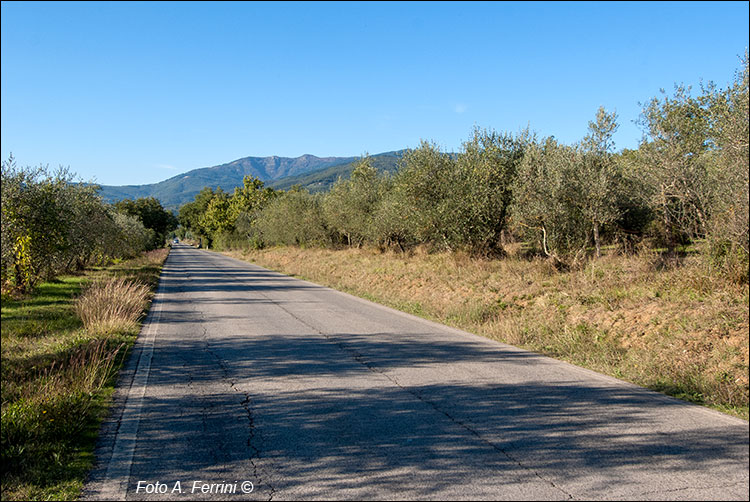 Strada Setteponti