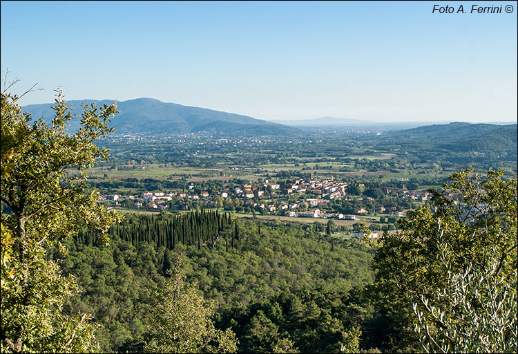 Panorama Castiglion Fibocchi