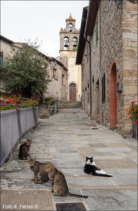 Gello Biscardo, chiesa