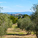 Panorama Castiglion Fibocchi