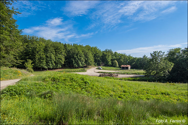 Fonte del Baregno, Catenaia