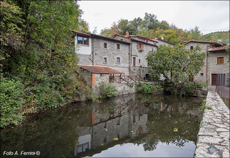 Falciano, Comune di Subbiano