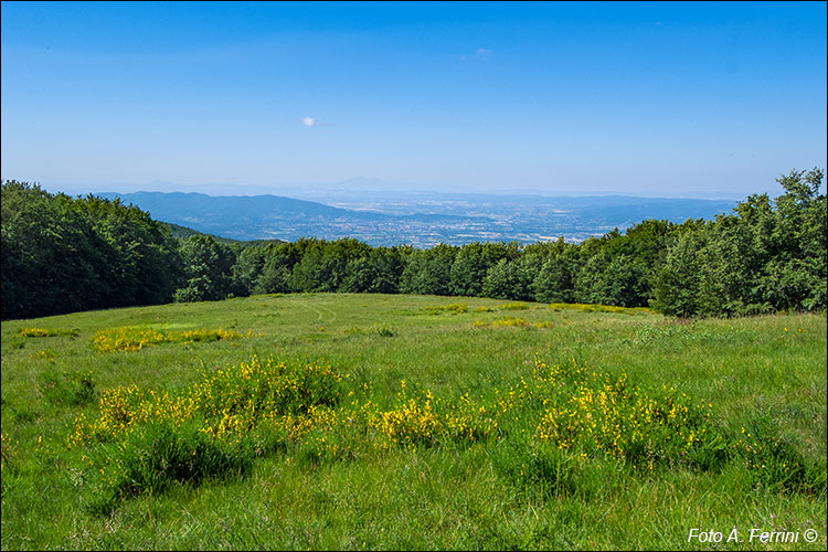 Panorami da Catenaia